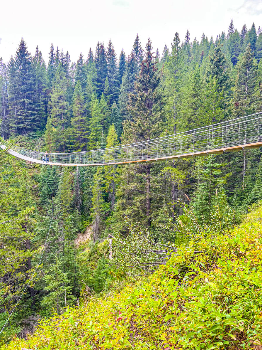 image of Kananaskis Suspension Bridge from the right hand side looking over