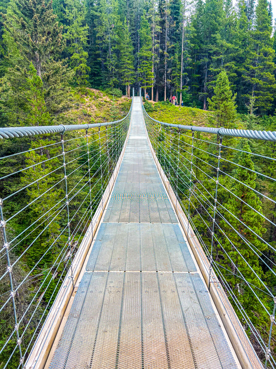view of kananaskis suspension bridge from one end toward the other