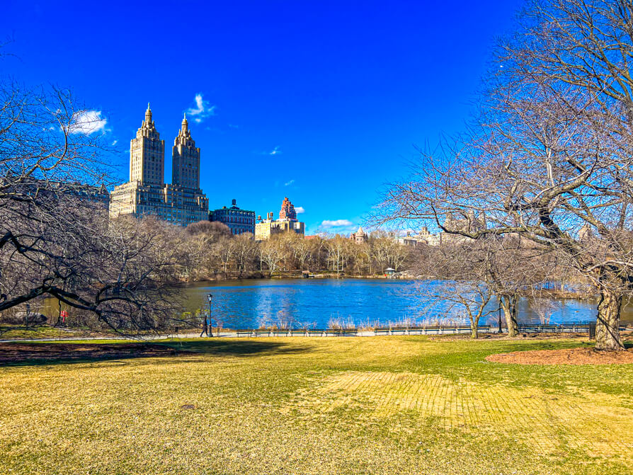 Image of Central Park New York
